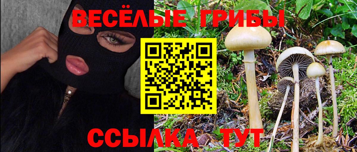 Галлюциногенные грибы Magic Shrooms Георгиевск