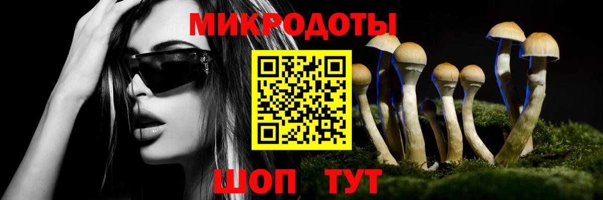 Георгиевск  Псилоцибиновые грибы Magic Shrooms  Вход с VPN  Псилоцибиновые грибы Psilocybine cubensis 